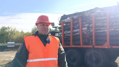 заготівля і ціна дрова