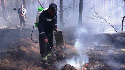 Пожежу лісу у Козелецькому районі загасили
