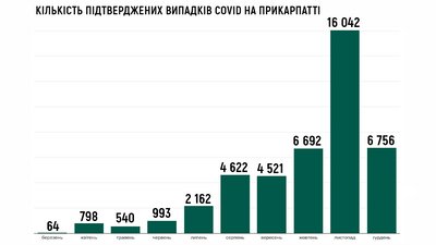 Кількість підтверджених випадків COVID на Прикарпатті. Інфографіка: Суспільне Карпати