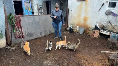Жінка годує котиків