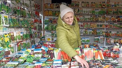 Насіння, ціна, вартість, продавець, покупець, ринок, Житомир Насіння, ціна, вартість, продавець, покупець, ринок, Житомир