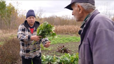 Неврожай хрону на Черкащині