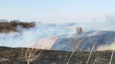 За добу на Сумщині сталося 9 пожеж в екосистемах