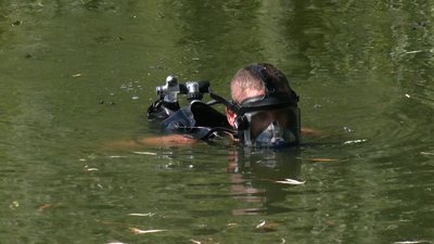 У пошуках незаконних стоків: як водолаз обстежує гідропарк у Рівному