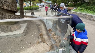"Вінниця — дуже гостинна". 30 дітей-переселенців відвідали Подільський зоопарк