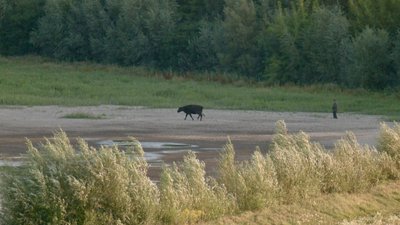 чому немає води, обміління річок