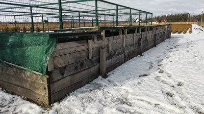 Понад 11,5 мільйонів саджанців хвойних та листяних порід дерев виростили лісівники Полтавщини Понад 11,5 мільйонів саджанців хвойних та листяних порід дерев виростили лісівники Полтавщини