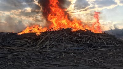 На території підприємства у Житомирі горіли залишки деревини На території підприємства у Житомирі горіли залишки деревини