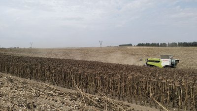 Збір врожаю на Волині, зернові і технічні культури