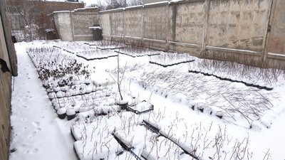 "Франківськ дуже багатий на людей, які готові допомогти". Родина переселенців з Луганська "Франківськ дуже багатий на людей, які готові допомогти". Родина переселенців з Луганська