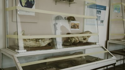 Одеські військові знайшли дві стародавні амфори. Їх передали до музею НАН України. ФОТО. ВІДЕО Одеські військові знайшли дві стародавні амфори. Їх передали до музею НАН України. ФОТО. ВІДЕО