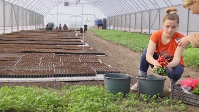 Теплиця Хмельницький, теплиця Хмельниччина Теплиця Хмельницький, теплиця Хмельниччина