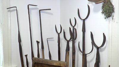 Експонати музею Експонати музею
