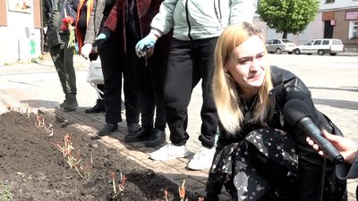 "Троянда пам'яті": у Бердичеві на Житомирщині висадили 160 квітів у пам'ять про загиблих захисників "Троянда пам'яті": у Бердичеві на Житомирщині висадили 160 квітів у пам'ять про загиблих захисників