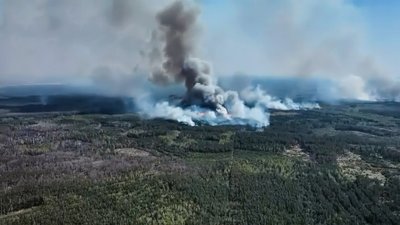 Лісова пожежа на Чернігівщині: палає близько 2 400 гектарів через військову агресію РФ