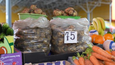 У Хмельницькому майже вдвічі подешевшала молода картопля