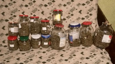 Закрутив марихуану в банки: закарпатця підозрюють у зберіганні наркотиків Закрутив марихуану в банки: закарпатця підозрюють у зберіганні наркотиків
