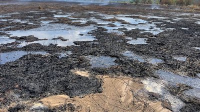 Тліють торф’яні шари: ДСНС протягом кількох діб гасять пожежі у Хаджибейському районі Одеси Тліють торф’яні шари: ДСНС протягом кількох діб гасять пожежі у Хаджибейському районі Одеси