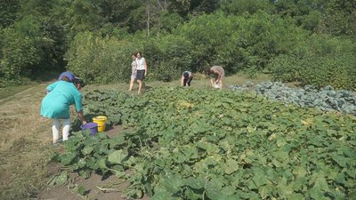 У школах та садочках Калинівської громади на Вінниччині заготовляють їжу на зиму