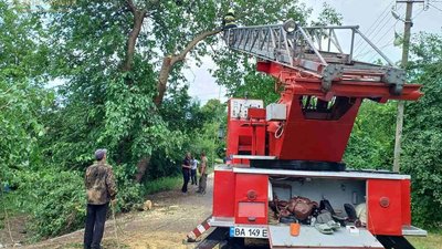 На Кіровоградщині усувають наслідки буревію На Кіровоградщині усувають наслідки буревію