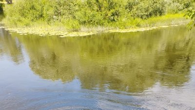 На Сумщині з початку травня у водоймах потонуло п'ятеро людей