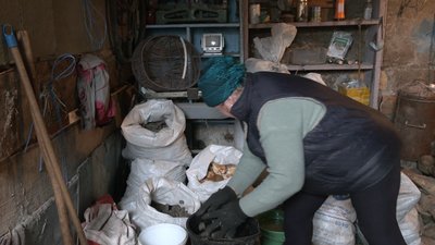 Кількість корів у приватних домогосподарствах Черкащини за 2022 рік зменшилася на дві тисячі: в чому причина Кількість корів у приватних домогосподарствах Черкащини за 2022 рік зменшилася на дві тисячі: в чому причина