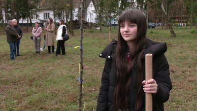 "Нехай мир процвітає": на Рівненщину привезли дерева з Німеччини й Польщі "Нехай мир процвітає": на Рівненщину привезли дерева з Німеччини й Польщі