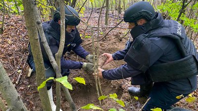 Чоловік під час збирання грибів виявив боєприпаси