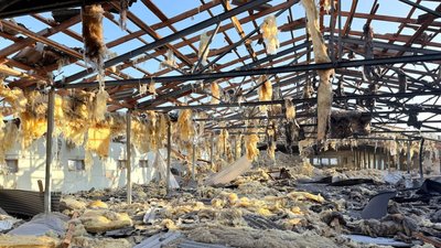 Загинули свині і птиця: РФ атакувала Чернігівщину