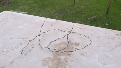 Боротьба з браконьєрами та допомога природі. Історія мисливців з Миколаївщини Боротьба з браконьєрами та допомога природі. Історія мисливців з Миколаївщини