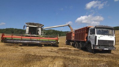 Аграрії збирають зерно на полях. Аграрії збирають зерно на полях.