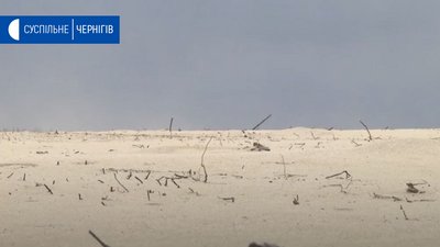Поля немов пустелі: у Ніжинському та Семенівському районах угіддя замело піском