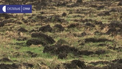 На Сумщині розорюють прибережну захисну смугу: поліція відкрила провадження На Сумщині розорюють прибережну захисну смугу: поліція відкрила провадження