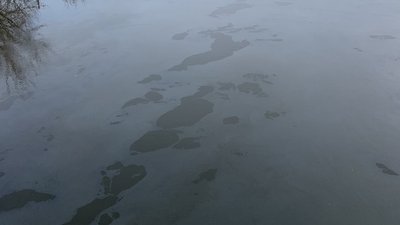 Харків нафтобаза екосистема