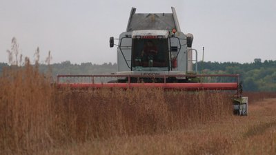 ціна на гречку