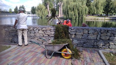 Тернопільський став чистять від водоростей