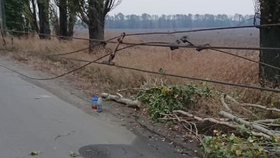 Ремонтники КП "Електроавтотранс" в Сумах 7 годин долали наслідки нічного буревію Ремонтники КП "Електроавтотранс" в Сумах 7 годин долали наслідки нічного буревію