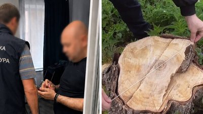 На Черкащині незаконно вирубували дерева