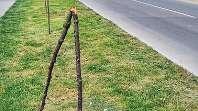 Фото Анна Пащук