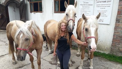 "У світі їх менше тисячі": у Львові розводять рідкісну породу коней "У світі їх менше тисячі": у Львові розводять рідкісну породу коней