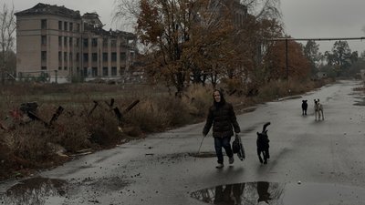Жінка та тварини на вулиці міста Костянтинівка