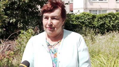 колорадські жуки: є чи нема