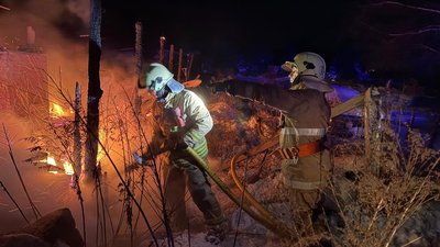 пожежа, рятувальники, ДСНС, деревообробне підприємтво