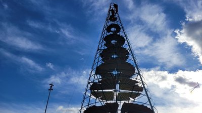 На Соборній площі у Миколаєві триває демонтаж новорічної ялинки На Соборній площі у Миколаєві триває демонтаж новорічної ялинки