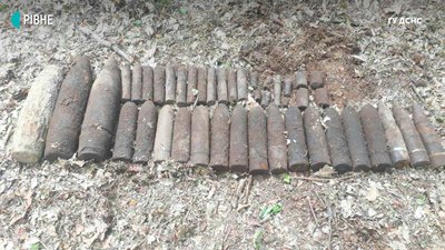 Біля Рівного розміновують 38 гектарів лісу Біля Рівного розміновують 38 гектарів лісу