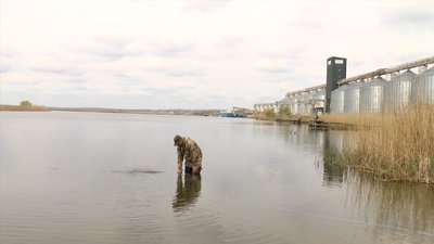 До річок Миколаївщини випустили 318 тисяч мальків щуки