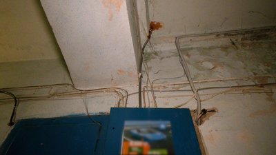Грибок і тріщини на стінах: франківка скаржиться на неякісний дах багатоповерхівки Грибок і тріщини на стінах: франківка скаржиться на неякісний дах багатоповерхівки