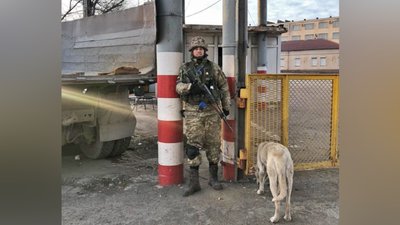 Мама прикордонника з Волині чекає на сина, який майже півтора року в російському полоні Мама прикордонника з Волині чекає на сина, який майже півтора року в російському полоні