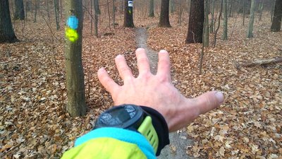 Бігова стежка, створена житомирськими бігунами-аматорами, увійшла до Книги рекордів України Бігова стежка, створена житомирськими бігунами-аматорами, увійшла до Книги рекордів України