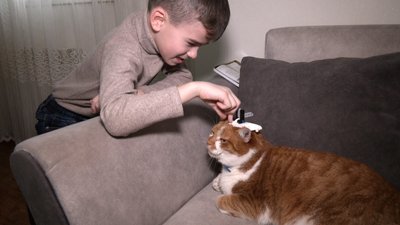 Семирічного хлопчика з Маріуполя виховує патронатна сім'я на Волині Семирічного хлопчика з Маріуполя виховує патронатна сім'я на Волині